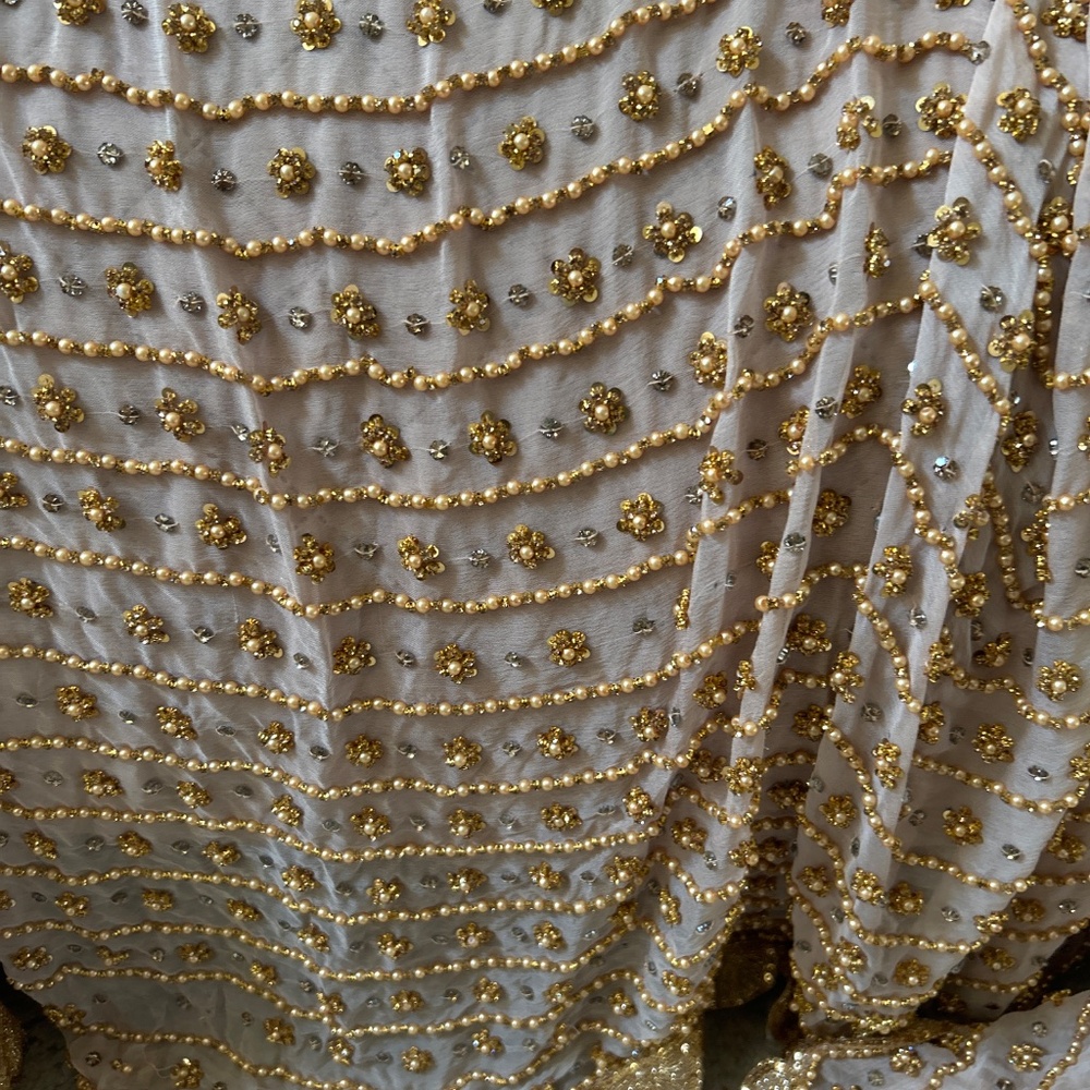 Hand Embroidered Beige Chiffon Saree / Sari with heavy sequence work - Picture 11 of 11